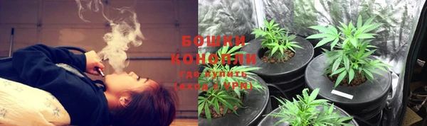 ПСИЛОЦИБИНОВЫЕ ГРИБЫ Белокуриха