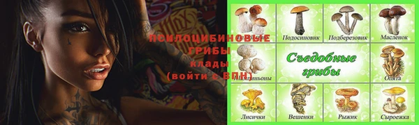 молекула духа Белоозёрский