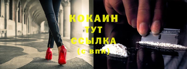 ПСИЛОЦИБИНОВЫЕ ГРИБЫ Белокуриха