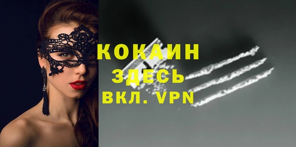 ПСИЛОЦИБИНОВЫЕ ГРИБЫ Белокуриха