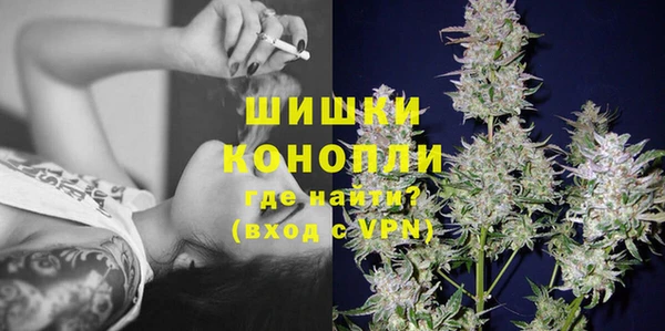 молекула духа Белоозёрский