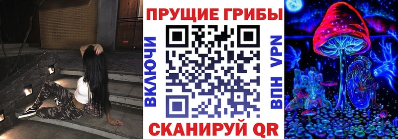 наркотики  Велиж  Галлюциногенные грибы мицелий 